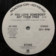STING / If You Love Somebody Set Them Free