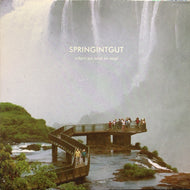 SPRINGINTGUT / Where We Need No Map