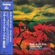 酒井潮 / Blues In My Soul
