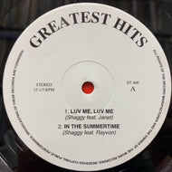 SHAGGY / STEVIE WONDER / BIG PUNISHER / Greatest Hits