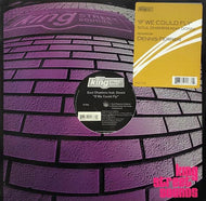 SOUL DHAMMA / If We Could Fly