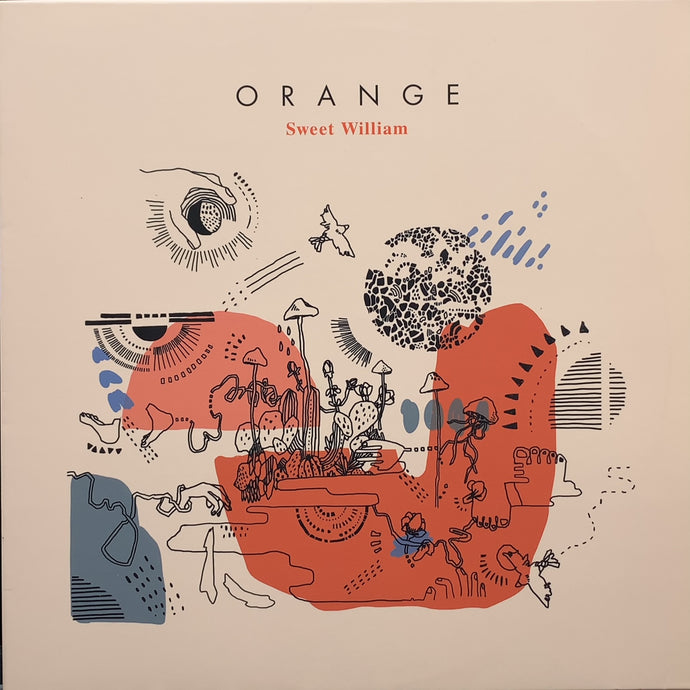SWEET WILLIAM / Orange – TICRO MARKET