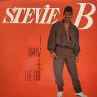 STEVIE B / I Wanna Be The One