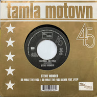 STEVIE WONDER / SO WHAT THE FUSS