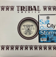 SALT CITY ORCHESTRA / Storm