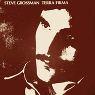 STEVE GROSSMAN / TERRA FIRMA