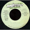 SHAGGY/MAXI PRIEST/T.O.K/ICE MAN / WE LIKE TO PARTY