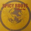 SPICY ROOTS / BRILLIANT DAY