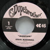 STEVE MARSHALL / MAINTAIN