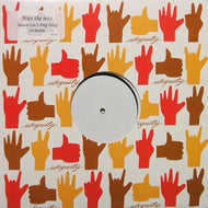 SHAWN LEE'S PING PONG ORCHESTRA / HITS THE HITS