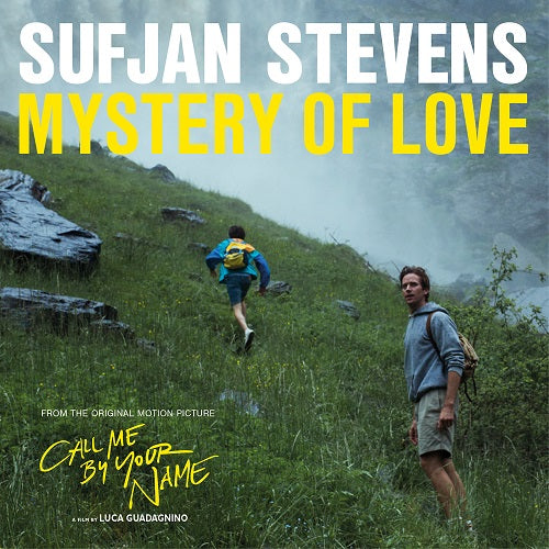 sufjan ストア stevens 君の名前で僕を呼んで レコード