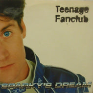 TEENAGE FANCLUB / SPARKY'S DREAM