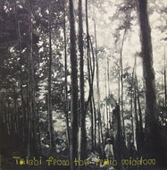 TAICHI / FROM THE TRAIN WINDOW