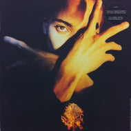 TERENCE TRENT D'ARBY / NEITHER FISH NOT FLESH