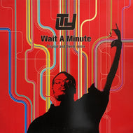 TY / Wait A Minute (Original & Dwele Remix) 