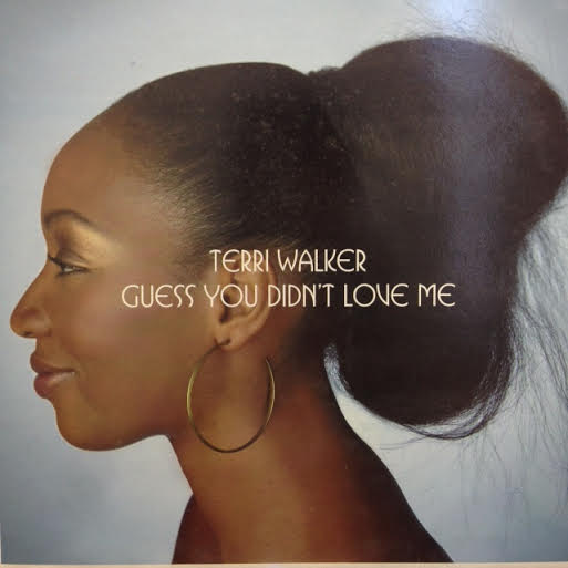 TERRI WALKER / GUESS YOU DIDNT LOVE ME