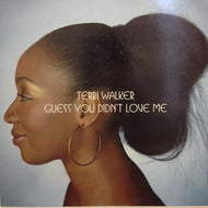 TERRI WALKER / GUESS YOU DIDNT LOVE ME
