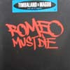 TIMBALAND & MAGOO / WE AT IT AGAIN