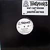 TRANSPLANTS / WHAT I CAN'T DESCRIBE
