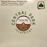 TORTURED SOUL / I MIGHT DO SOMETHING WRONG (PART ONE)