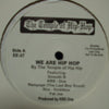 TEMPLE OF HIP HOP / WE ARE HIP HOP
