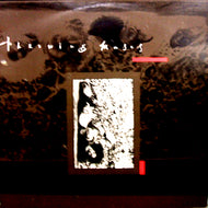 THROWING MUSES / CHAINS CHANGED