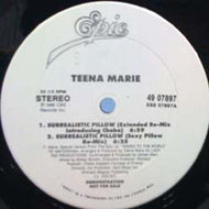 TEENA MARIE / SURREALISTIC PILLOW