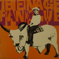 TEENAGE FANCLUB / UNTITLED