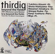 THIRDIQ / Beyond The Fields