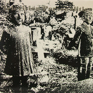 TELEVISION PERSONALITIES / THREE WISHES