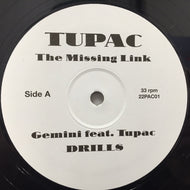 TUPAC / THE MISSING LINK