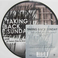 TAKING BACK SUNDAY / Liar (It Takes One To Know One)