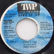THIRD WORLD / MAGNET & STEEL