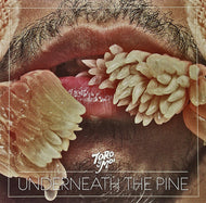 TORO Y MOI / UNDERNEATH THE PINE