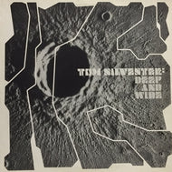 TOM SILVESTER / DEEP AND WIDE