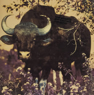 THEE MICHELLE GUN ELEPHANT / OUT BLUES