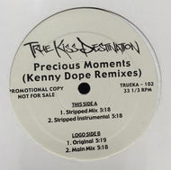 TRUE KISS DESTINATION / PREIOUS MOMENTS(KENNY DOPE REMIXES)