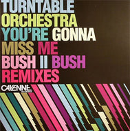 TURNTABLE ORCHESTRA / YOU'RE GONNA MISS ME(BUSH II BUSH REMIXES)
