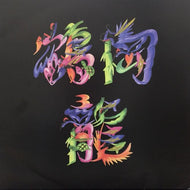 鶴岡龍とマグネティックス / Luvraw