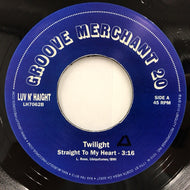 TWILIGHT / NUMONICS / STRAIGHT TO MY HEART / YOU LIED