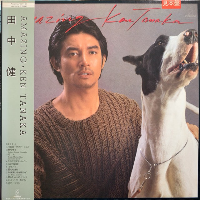 田中健 / AMAZING(VIH-28126,LP) – TICRO MARKET