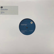TERRENCE DIXON / Minimalism Re:Vision