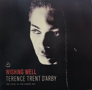 TERENCE TRENT D'ARBY / Wishing Well Francois Kevorkian MIX
