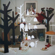 TRACEY THORN / RAISE THE ROOF