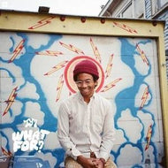 TORO Y MOI / WHAT FOR?