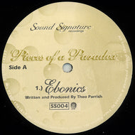 THEO PARRISH / PIECES OF PARADOX