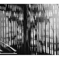 TAKAAKI ITOH / FLANDERS FIELDS