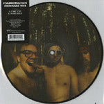 UNGDOMSKULEN / ORDINARY SON