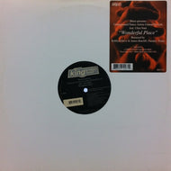 UNDERGROUND DANCE ARTISTS UNITED FOR LIFE / WONDERFUL PLACE