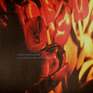 ULRICH SCHNAUSS / A STRANGELY ISOLATED PLACE